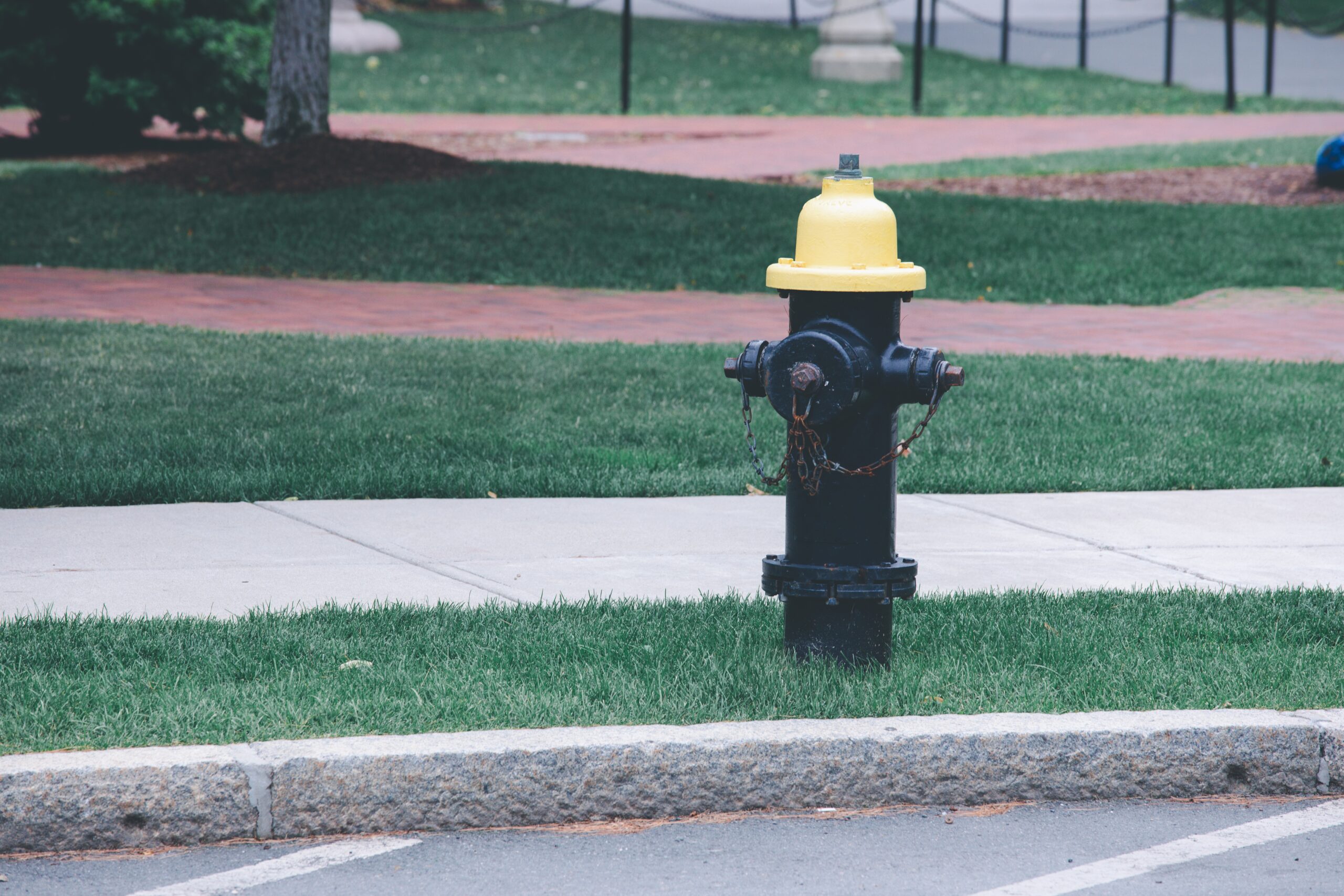 Read more about the article Black Fire Hydrant: Codes, Purpose, and Use