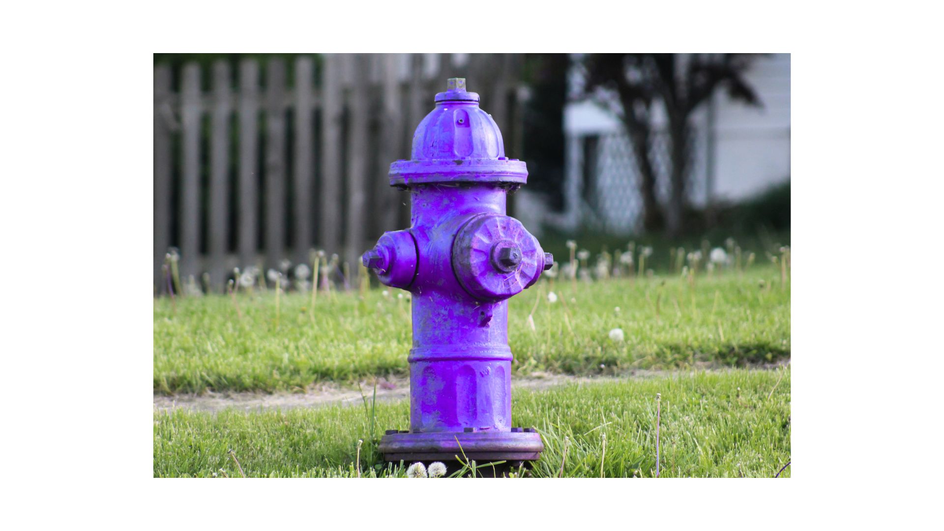 Read more about the article Purple Fire Hydrant Explained: Color Codes, Purpose of Use, and Flow Rates